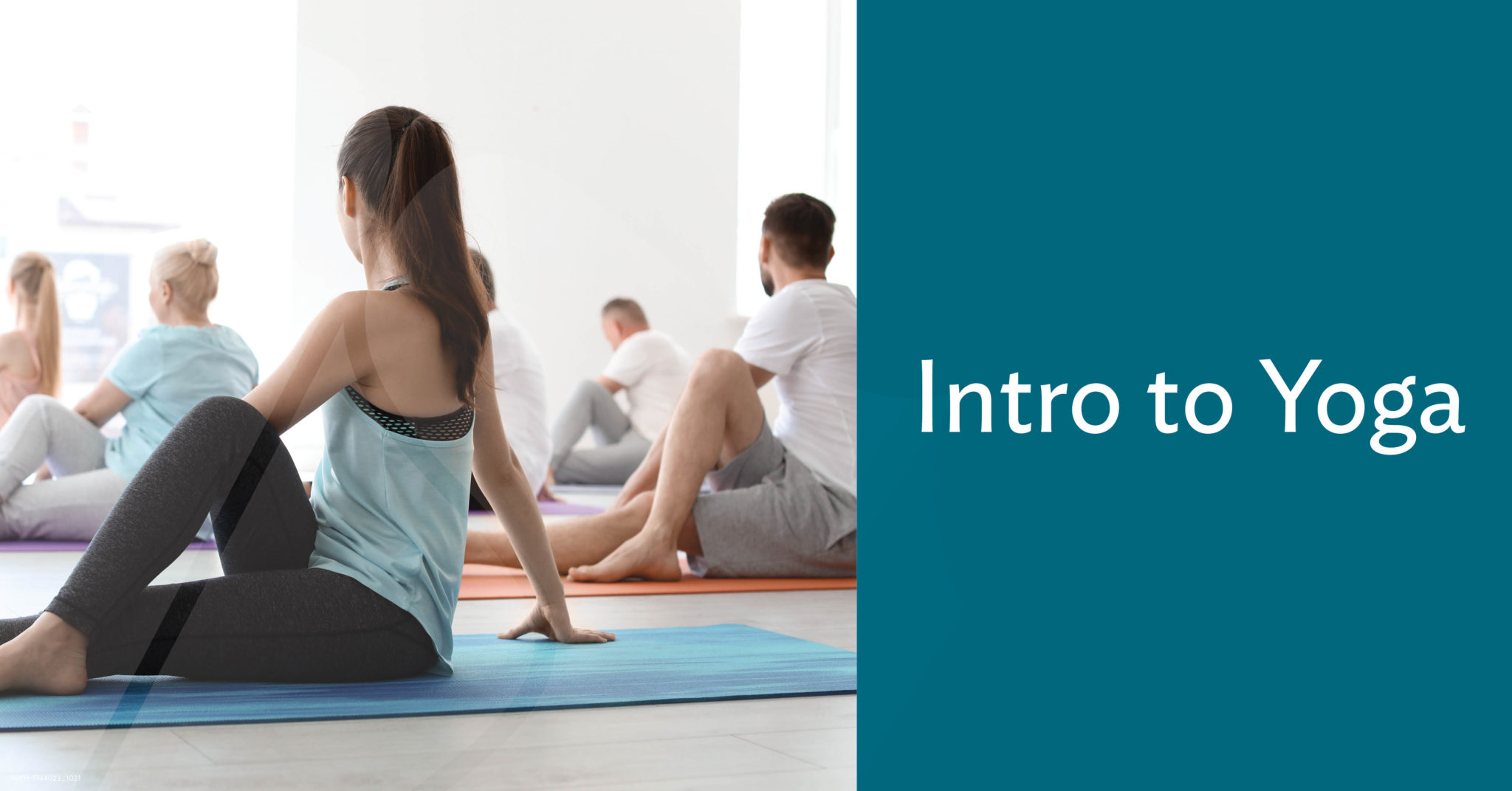 Intro to Yoga